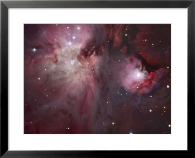 A View Of The Trapezium Region, Which Lies In The Heart Of The Orion Nebula by Stocktrek Images Pricing Limited Edition Print image