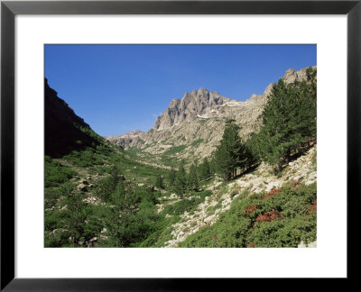 Gorges De La Restonica, Bergerie De Grottelle, Corsica, France by Yadid Levy Pricing Limited Edition Print image