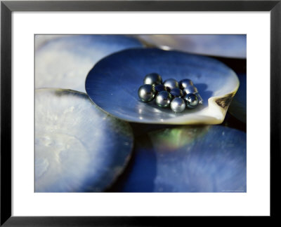Black Pearls, Cook Islands, South Pacific by D H Webster Pricing Limited Edition Print image