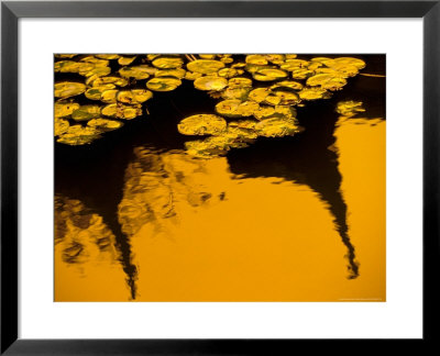 Lily Pond And Temple Reflection In Humble Administrators Garden, Suzhou, Jiangsu, China by Walter Bibikow Pricing Limited Edition Print image