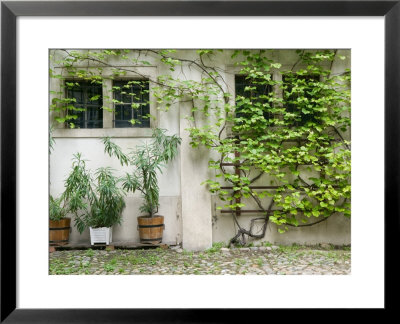 Courtyard Off Psoriases, Graz, Styria, Austria by Walter Bibikow Pricing Limited Edition Print image