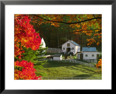 Morning Chores At The Imagination Morgan Horse Farm, Bethel, Vermont, Usa by Charles Sleicher Pricing Limited Edition Print image
