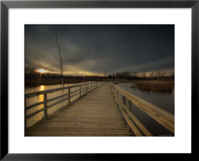 Marsh Path by Irene Suchocki Pricing Limited Edition Print image