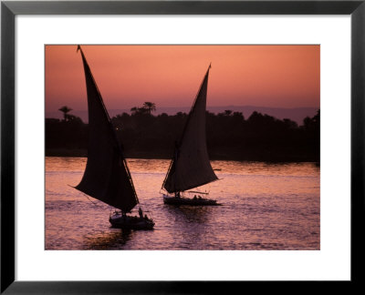 Traditional Feluccas Set Sail On The Nile River, Egypt by Nik Wheeler Pricing Limited Edition Print image