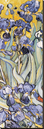 Irises, Saint-Remy, C.1889 (Detail) by Vincent Van Gogh Pricing Limited Edition Print image