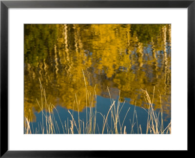 Fall Colors Reflected In A Trout Pond At Sunset, Colorado by Michael S. Lewis Pricing Limited Edition Print image
