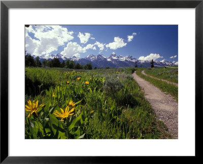 Road Leading Towards The Tetons In Grand Teton National Park, Wyoming by Richard Nowitz Pricing Limited Edition Print image