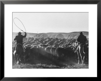 Cowboys On Long Cattle Drive From S. Dakota To Nebraska by Grey Villet Pricing Limited Edition Print image