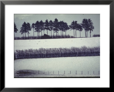 Snowy Landscape Frames Single American Tank Moving Along Distant Road During Battle Of The Bulge by George Silk Pricing Limited Edition Print image