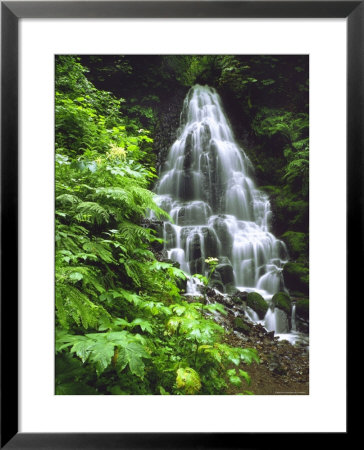 Fairy Falls Tumbling Down Basalt Rocks, Columbia River Gorge National Scenic Area, Oregon, Usa by Steve Terrill Pricing Limited Edition Print image