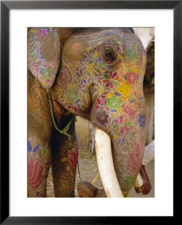 Painted Elephant, Close Up Of Head, Jaipur, Rajasthan, India by Bruno Morandi Pricing Limited Edition Print image