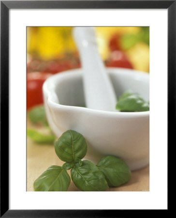 Basil In A Mortar by Alena Hrbkova Pricing Limited Edition Print image