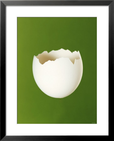 Half A White Egg Shell by Bodo A. Schieren Pricing Limited Edition Print image