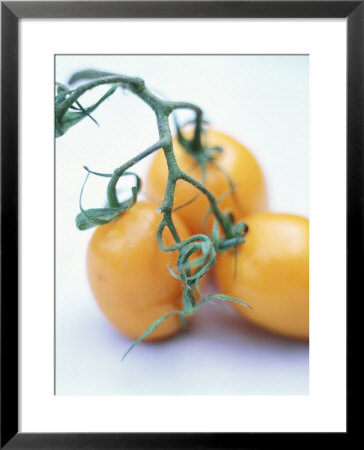 Three Yellow Tomatoes by David Loftus Pricing Limited Edition Print image