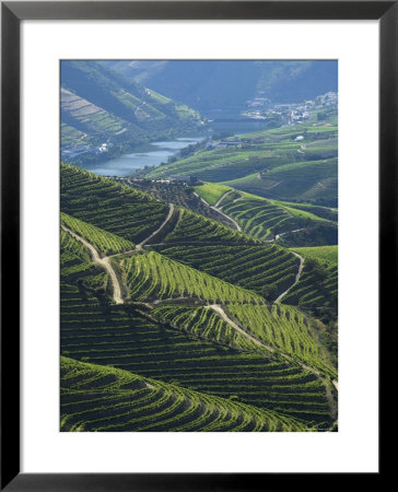 River Douro, Douro Region, Northern Portugal by Alan Copson Pricing Limited Edition Print image
