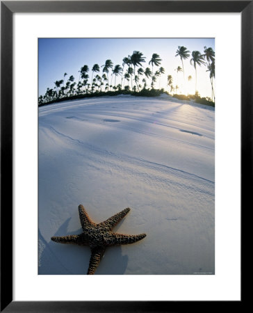 Beach At Zanzibar, Tanzania by Peter Adams Pricing Limited Edition Print image