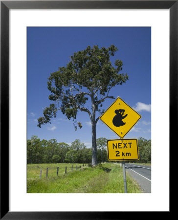 Australia, Queensland, Fraser Coast, Maryborough, Koala Crossing Sign On The Bruce Highway by Walter Bibikow Pricing Limited Edition Print image