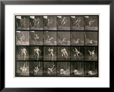 Two Men Wrestling, Plate 348 From Animal Locomotion, 1887 by Eadweard Muybridge Pricing Limited Edition Print image