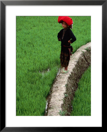 Ethnic Red Dao Girls Commonly Wear Elaborate Red Headdresses, Sapa, Lao Cai, Vietnam by Stu Smucker Pricing Limited Edition Print image