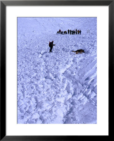 Aftermath Of Avalanche With Rescue Party, Dog And Handler Searching For The Missing, Austria by Christian Aslund Pricing Limited Edition Print image