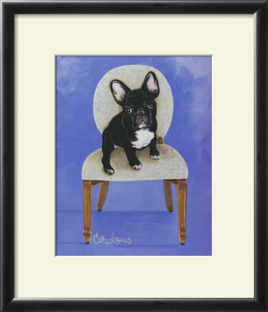 French Bull Dog by Carol Dillon Pricing Limited Edition Print image
