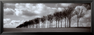 Somme Treeline by Charlie Waite Pricing Limited Edition Print image