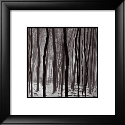 Streaks by Doug Burgess Pricing Limited Edition Print image