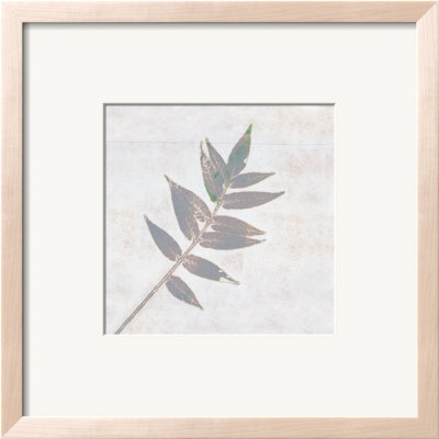 Leaf Synthesis I by Emily Pearce Pricing Limited Edition Print image