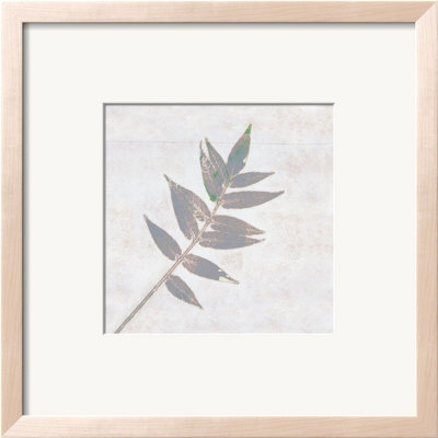 Leaf Synthesis I by Emily Pearce Pricing Limited Edition Print image