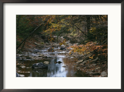 Autumnal View Of This Picturesque River by Bates Littlehales Pricing Limited Edition Print image
