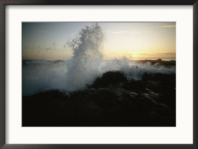 Sunlight Shines Through A Crashing Wave At Yachats State Park by Phil Schermeister Pricing Limited Edition Print image