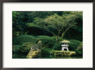 A Japanese Garden With Japanese Maple Trees by Darlyne A. Murawski Pricing Limited Edition Print image