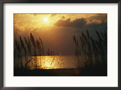 A Windsurfer Skims The Silver Surface Of Pamlico Sound At Twilight by Stephen St. John Pricing Limited Edition Print image