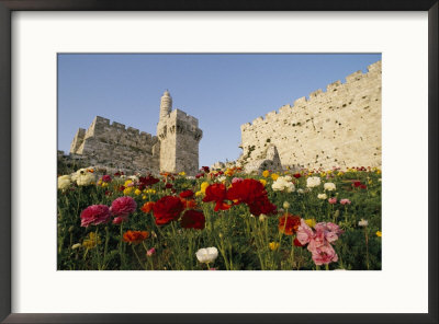 A View Of Flowers Growing Outside A Castle by Richard Nowitz Pricing Limited Edition Print image