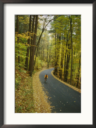 Biker On Road Amidst Fall Foliage by Skip Brown Pricing Limited Edition Print image