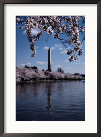 The Washington Monument Is Reflected In The Tidal Basin by Stephen St. John Pricing Limited Edition Print image