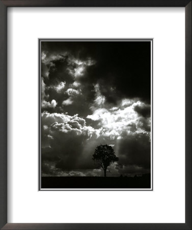 The Veil Of The Sky by Stephen Rutherford-Bate Pricing Limited Edition Print image