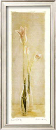 Quiet Light Ii by Amy Melious Pricing Limited Edition Print image