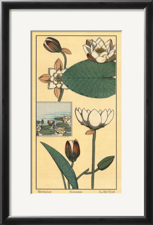 Water Lily I by M. P. Verneuil Pricing Limited Edition Print image