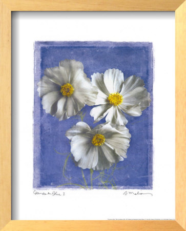 Cosmos On Blue I by Amy Melious Pricing Limited Edition Print image