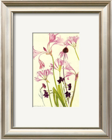 Crinum Nerine & Autumn Flowers by Elizabeth Blackadder Pricing Limited Edition Print image