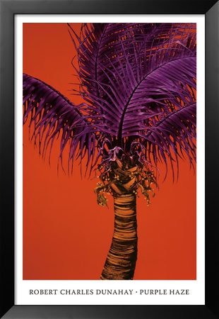 Purple Haze by Robert Charles Dunahay Pricing Limited Edition Print image