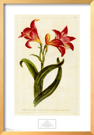Plate No. 23 by T. Jefferys Pricing Limited Edition Print image