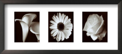 Flower Panel by Bill Philip Pricing Limited Edition Print image