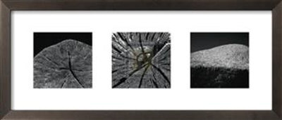 Elements Of Nature Ii by Chris Simpson Pricing Limited Edition Print image