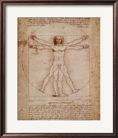 Vinci Drawing Of Man by Leonardo Da Vinci Pricing Limited Edition Print image