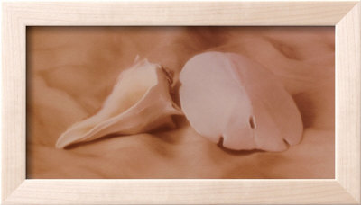 Shell Sonnet Lll by Judy Mandolf Pricing Limited Edition Print image