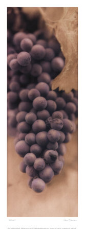 Merlot by Alan Blaustein Pricing Limited Edition Print image