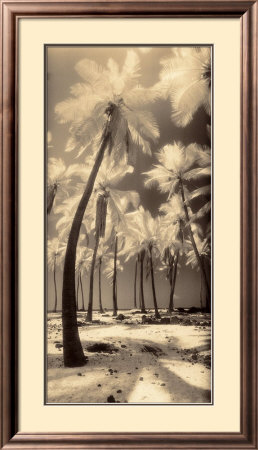 Palm Shadows I by Susan Friedman Pricing Limited Edition Print image