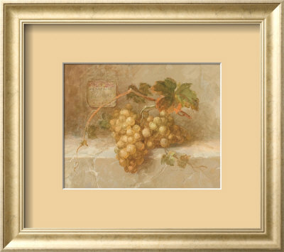 Champagne Grapes by Danhui Nai Pricing Limited Edition Print image